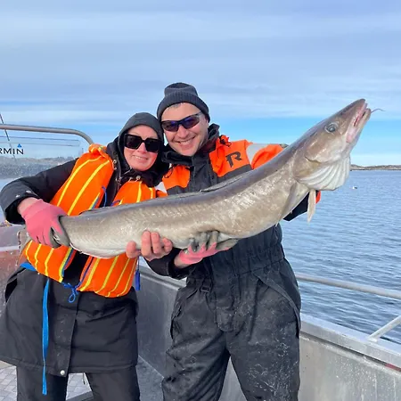 Naer Sjoen Pa Kvenvaer Holiday home Hitra